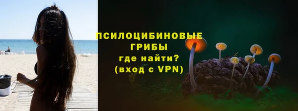 мяу мяу мука Армянск